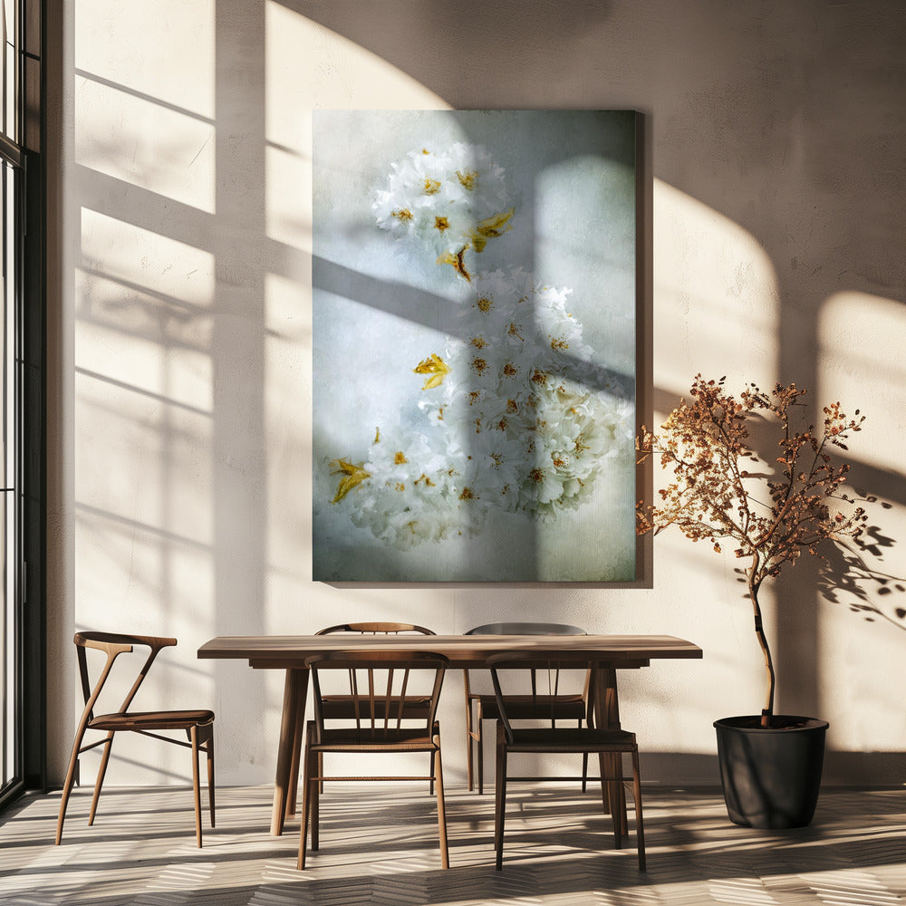 Kirschblüten | Leinwand