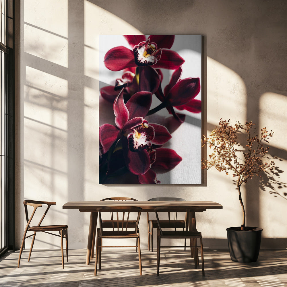 Rote Orchideen mit zarten Blütenblättern | Leinwand