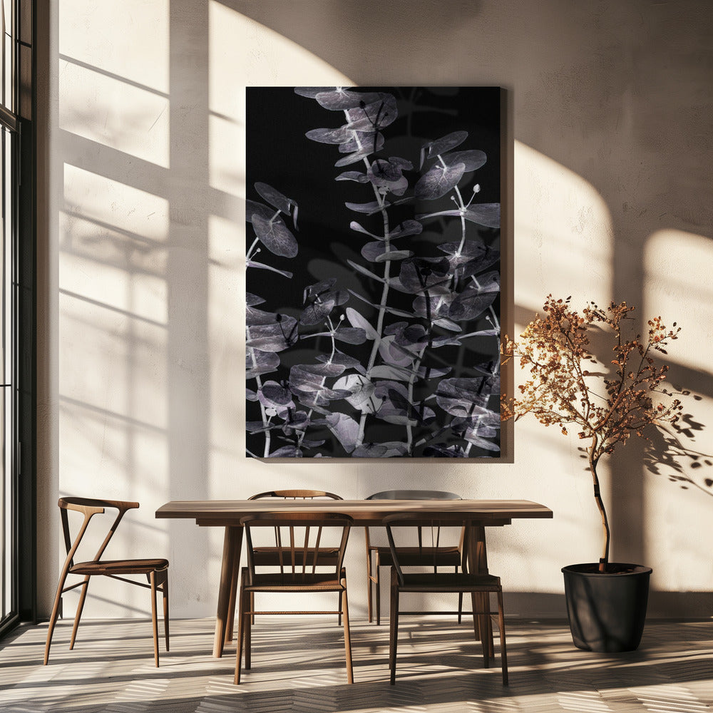 Eukalyptus_Negativ_002 | Leinwand
