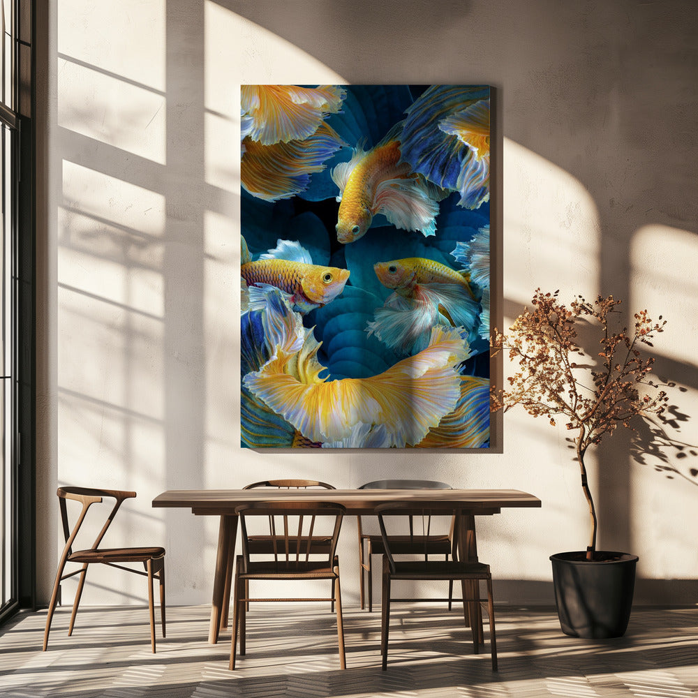 ColorFish | Canvas