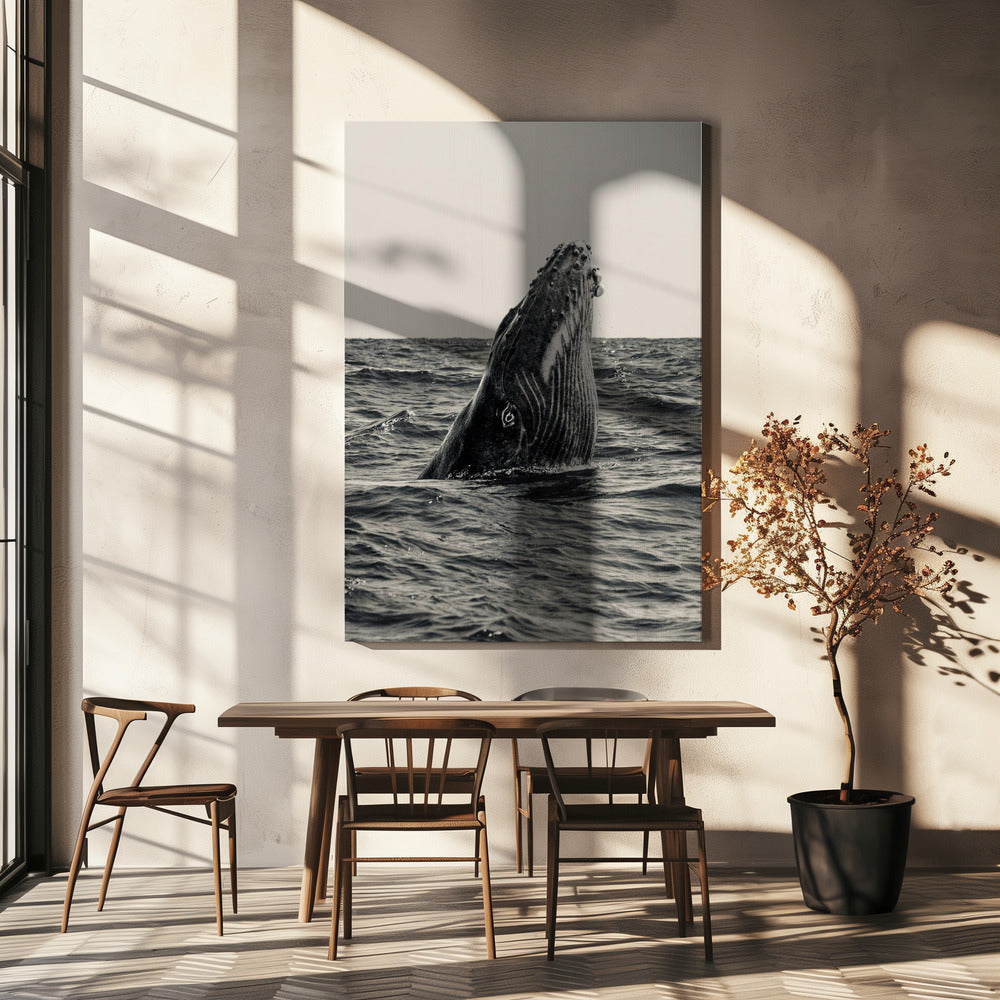 Secret of Whale | Canvas