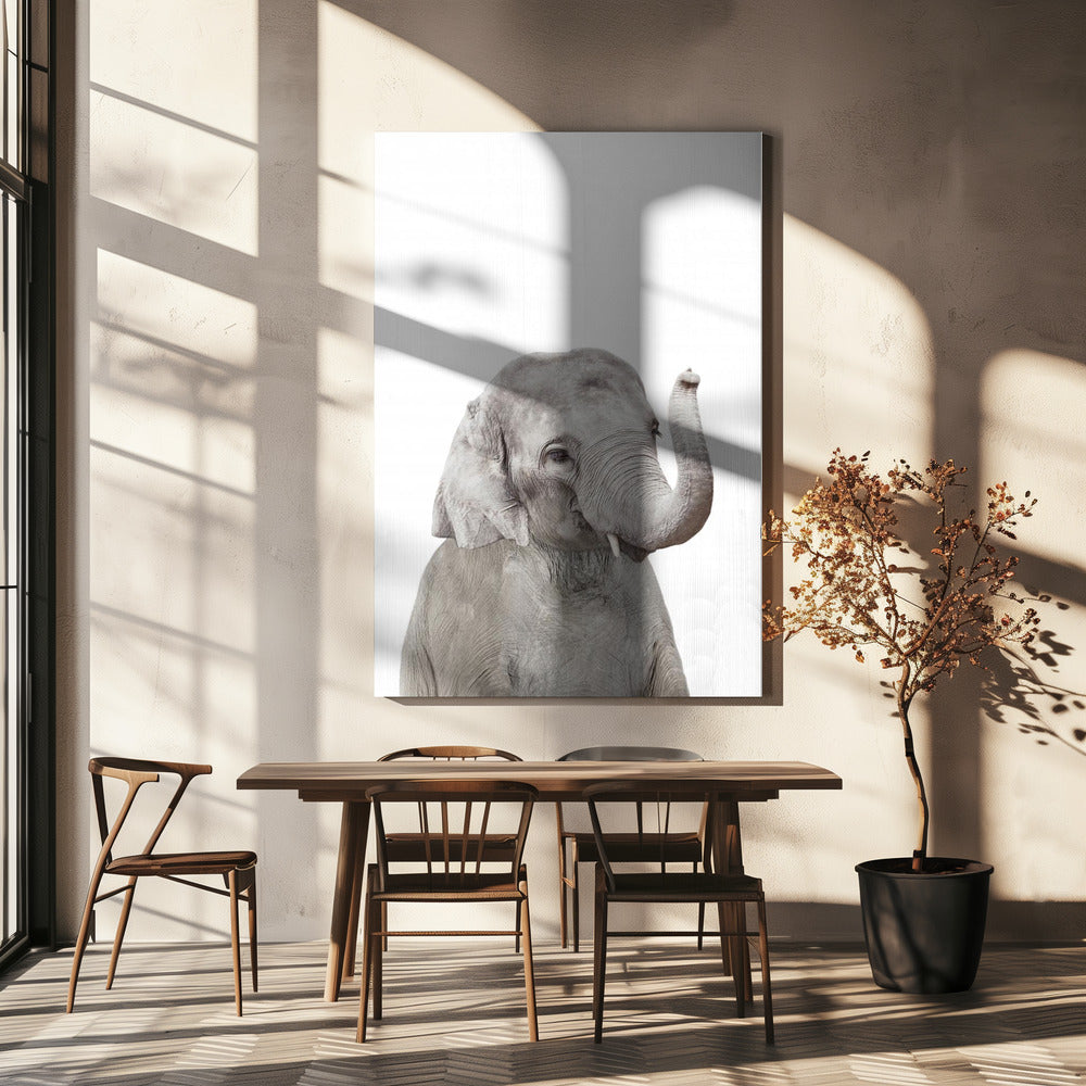 Baby Elephant | Canvas