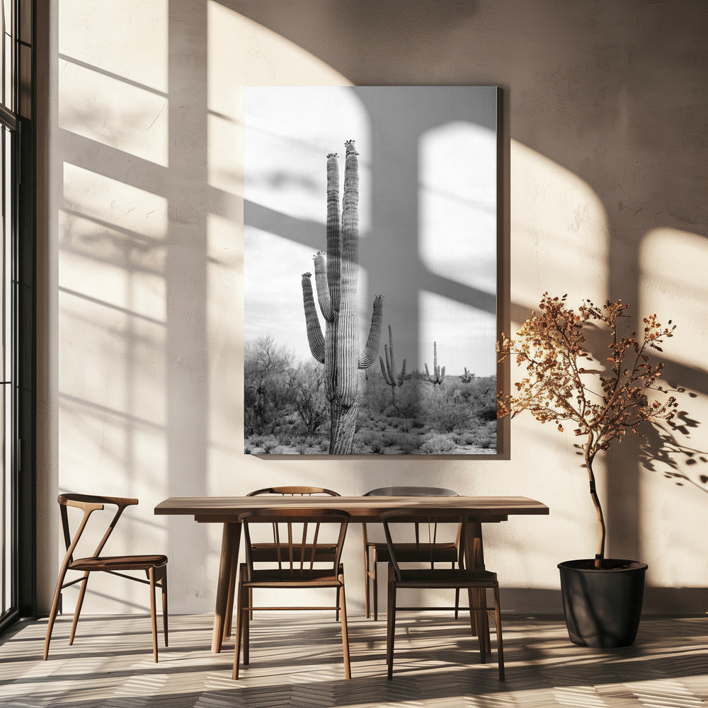 Saguaro B&W | Canvas