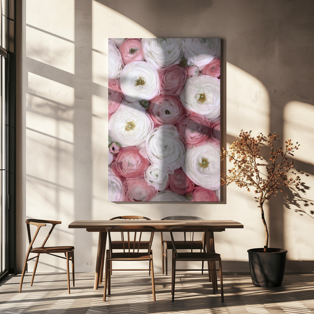 Verstreute Ranunkeln in gedecktem Rosa I | Leinwand