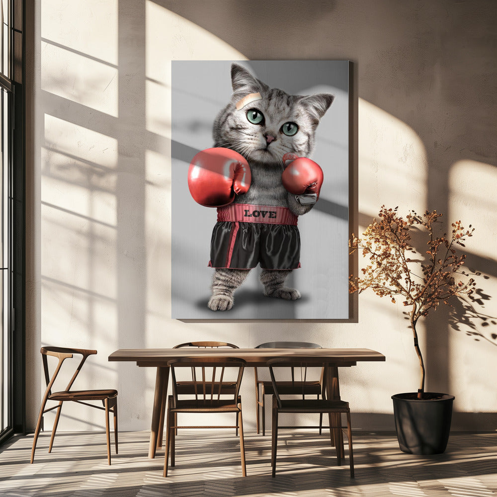 boxing cat | Canvas