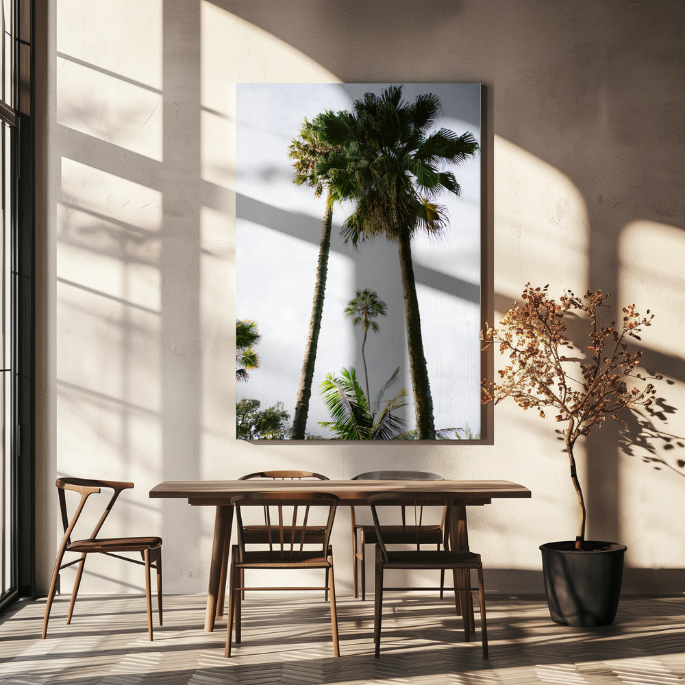 Finde mich unter der Palme | Leinwand
