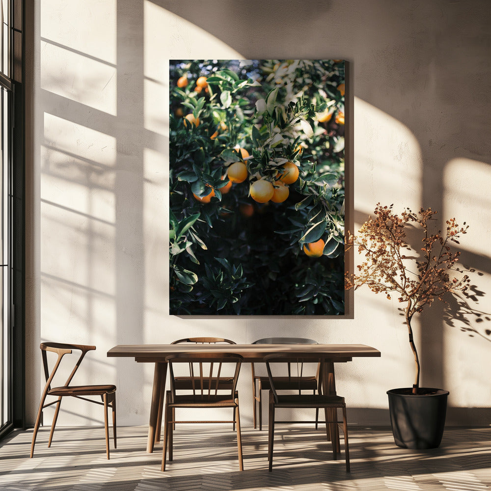 Marrakesch Orangen | Leinwand