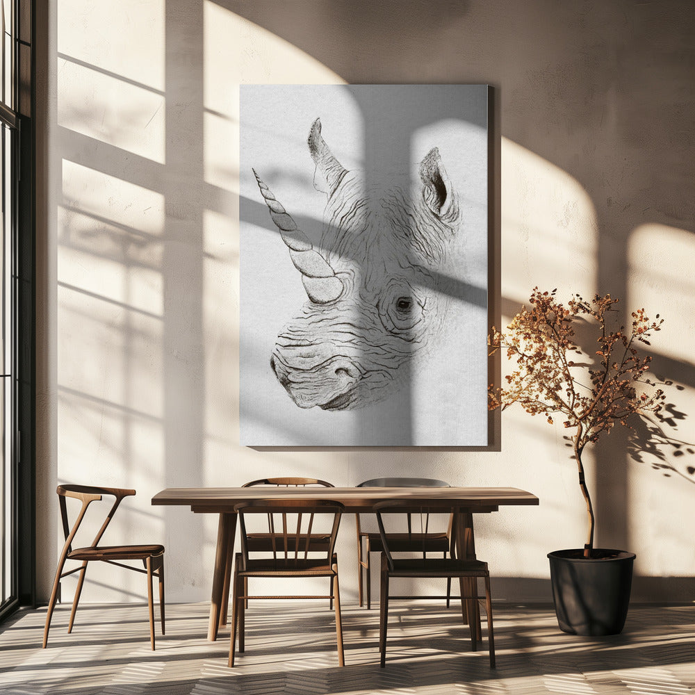 Rhinoplasty | Canvas