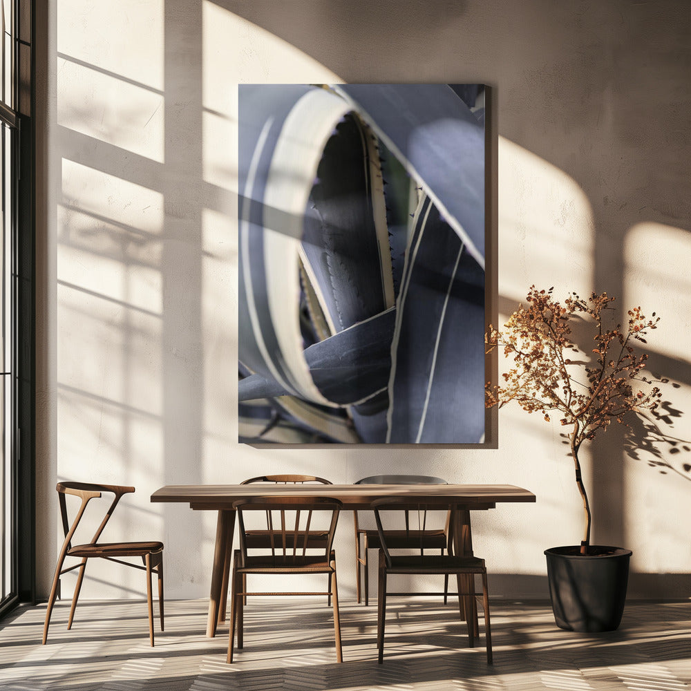 Spirale der Natur | Leinwand