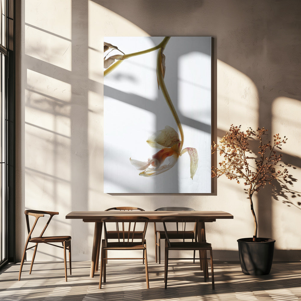 Eleganter Verfall | Leinwand
