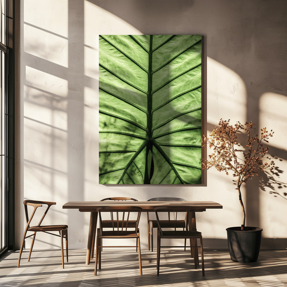 Leaf Vein Symphony | Canvas