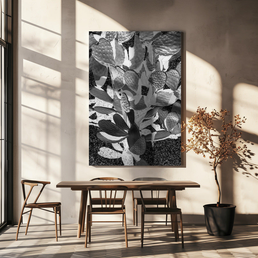 Prickly Patterns | Canvas