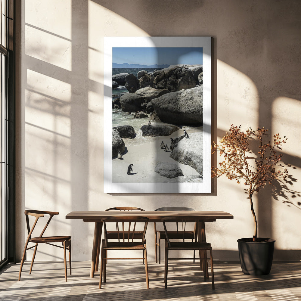 Penguins' Coastal Stroll | Canvas