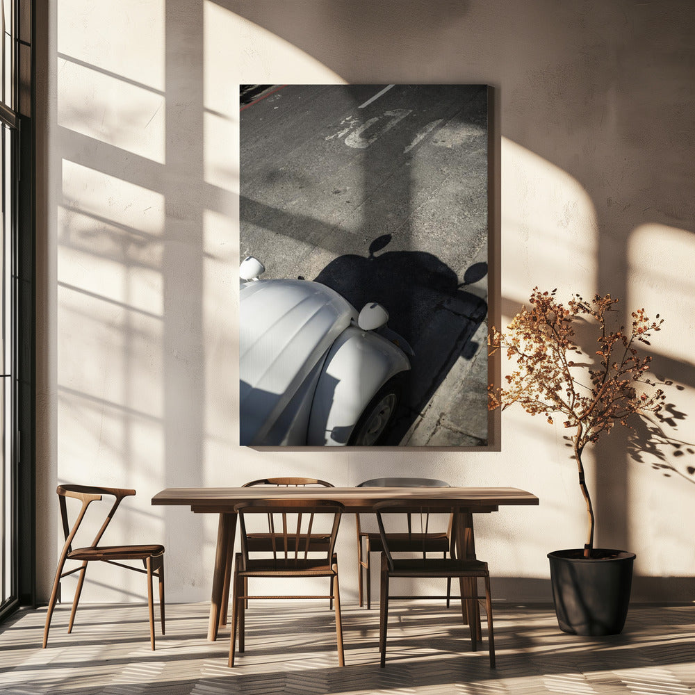 Klassische Kurvenschatten | Leinwand
