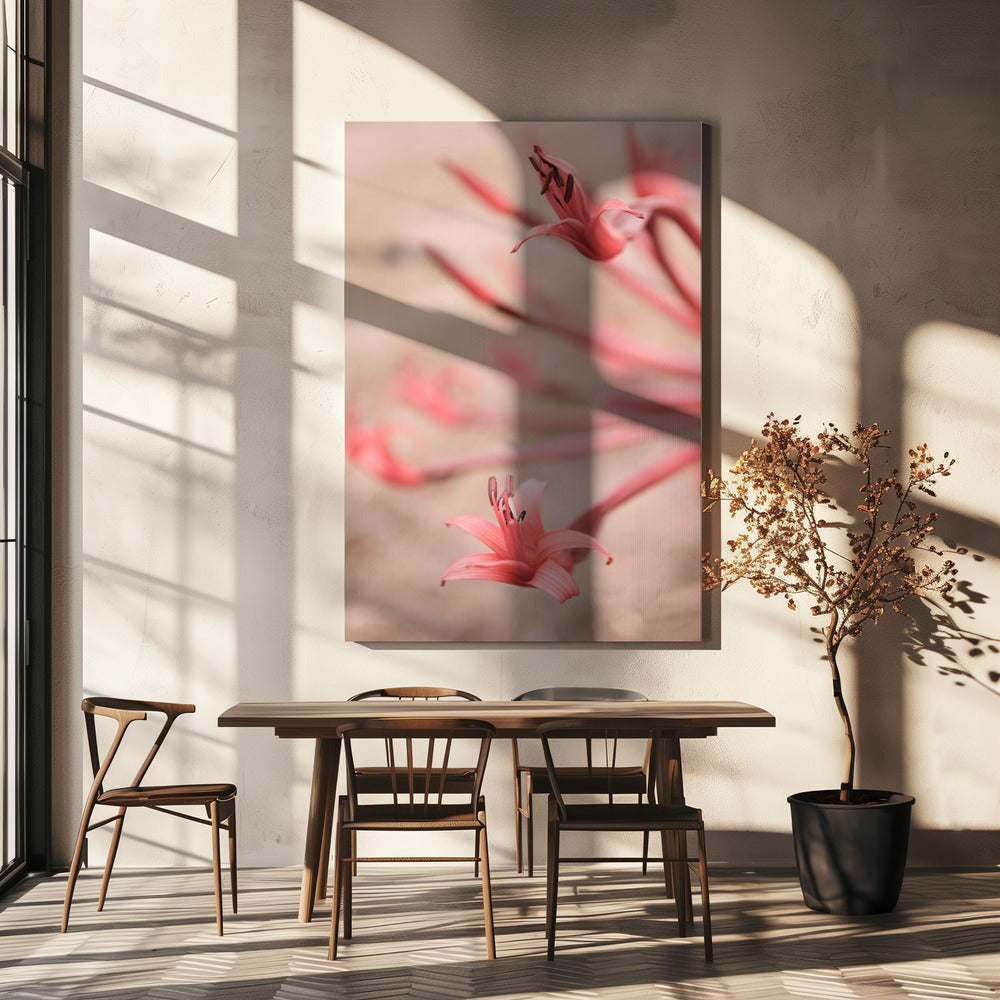 Petals in Focus | Canvas