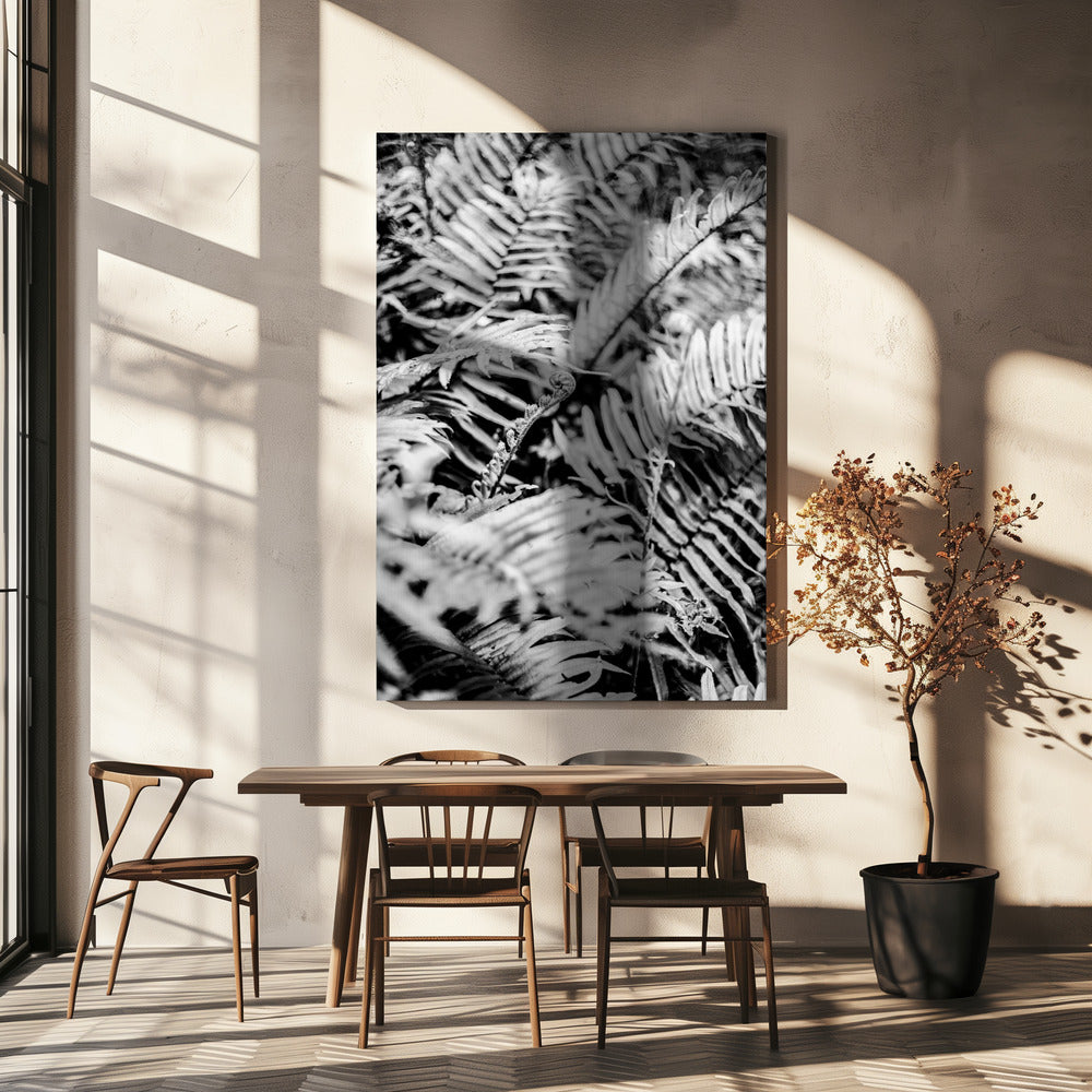 Whispering Ferns | Canvas