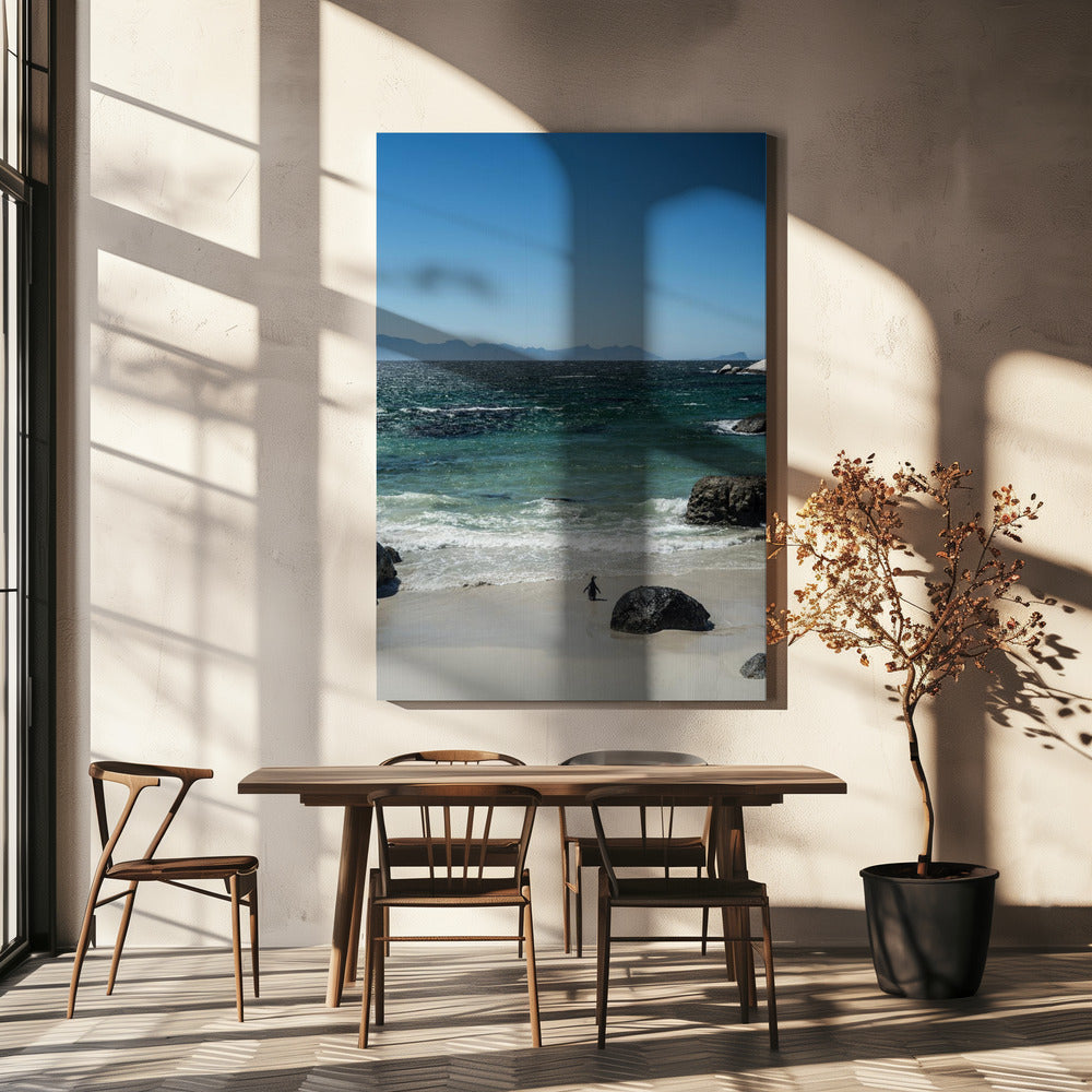 Penguin's Beach Walk | Canvas