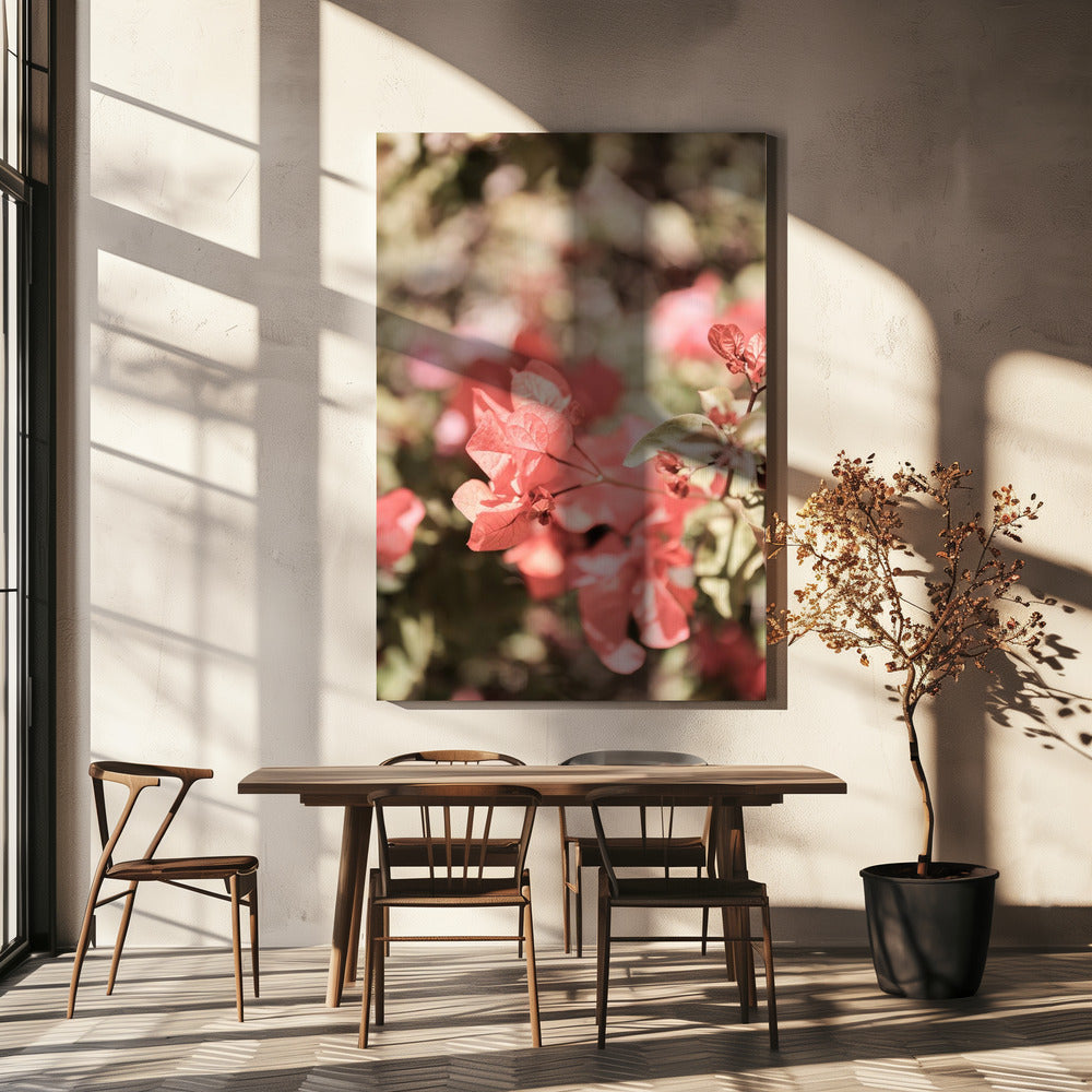 Blütenblätter im Fokus | Leinwand