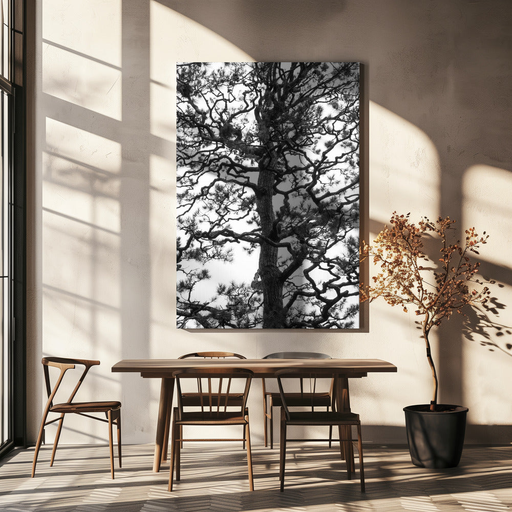 Verdrehte Baumsilhouette | Leinwand
