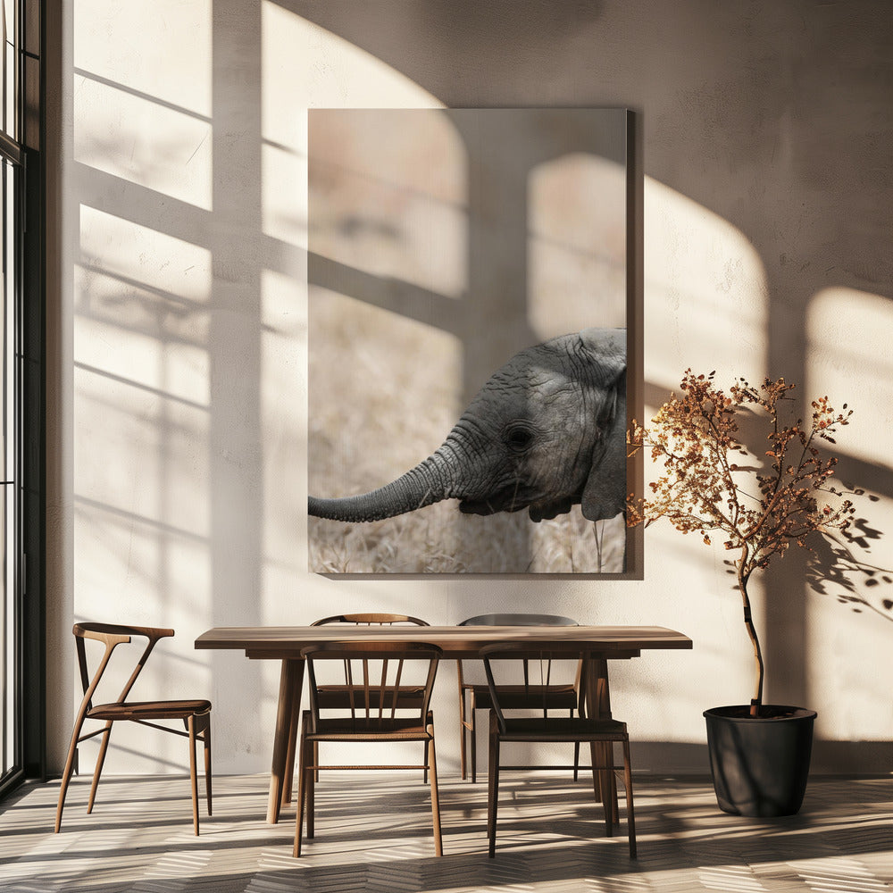 Sanfter Blick des Riesen | Leinwand