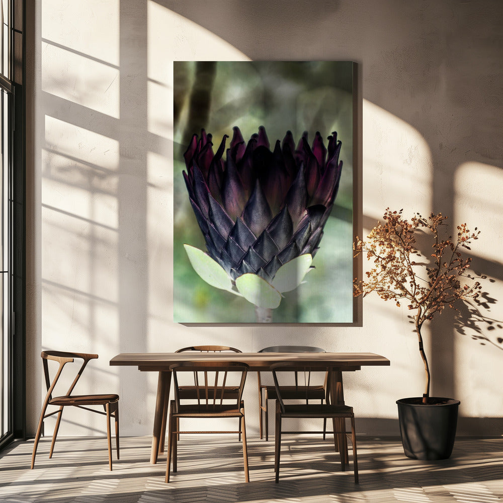 Schattenblüte | Leinwand