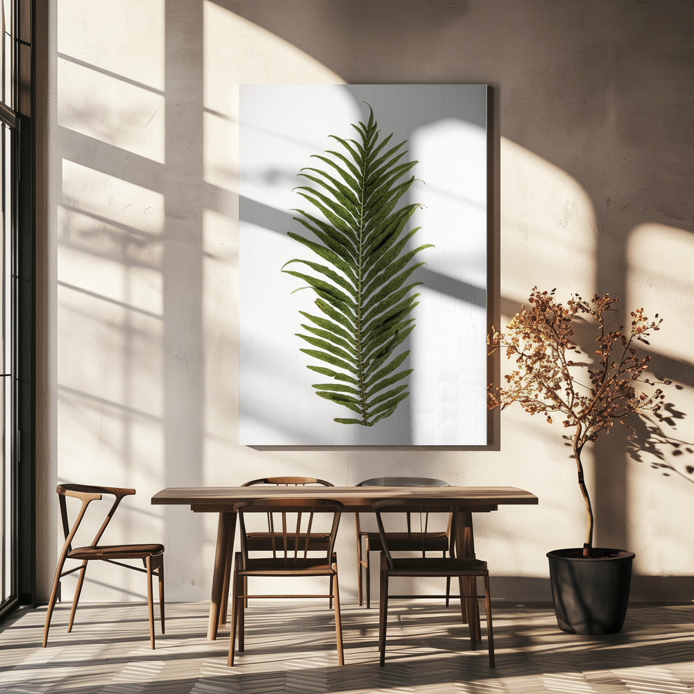 Farn Eleganz | Leinwand