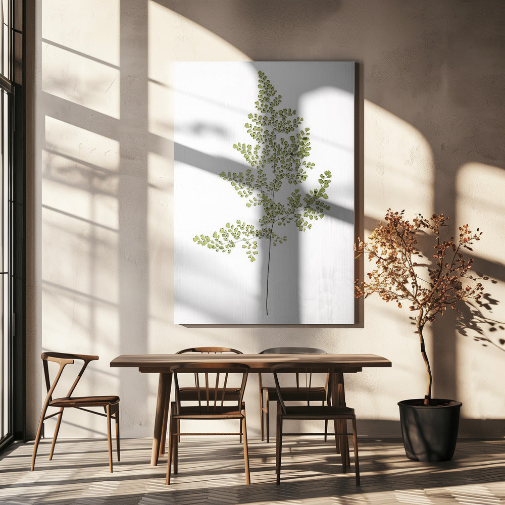 Farn Eleganz | Leinwand