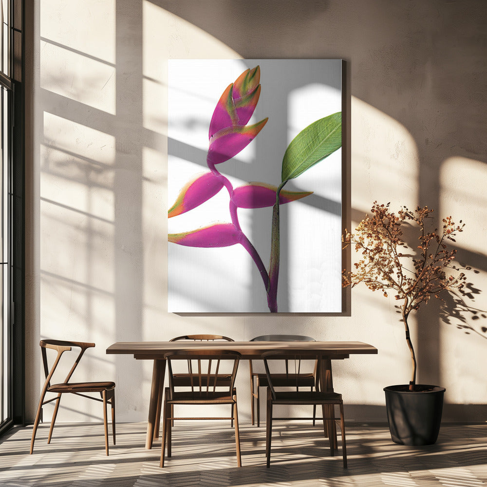 Tropische Eleganz | Leinwand