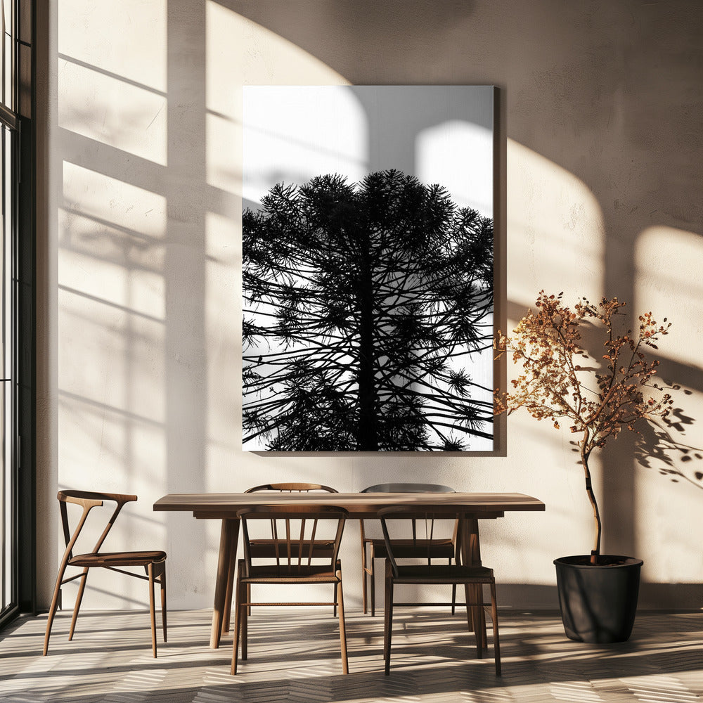 Silhouettensymmetrie | Leinwand