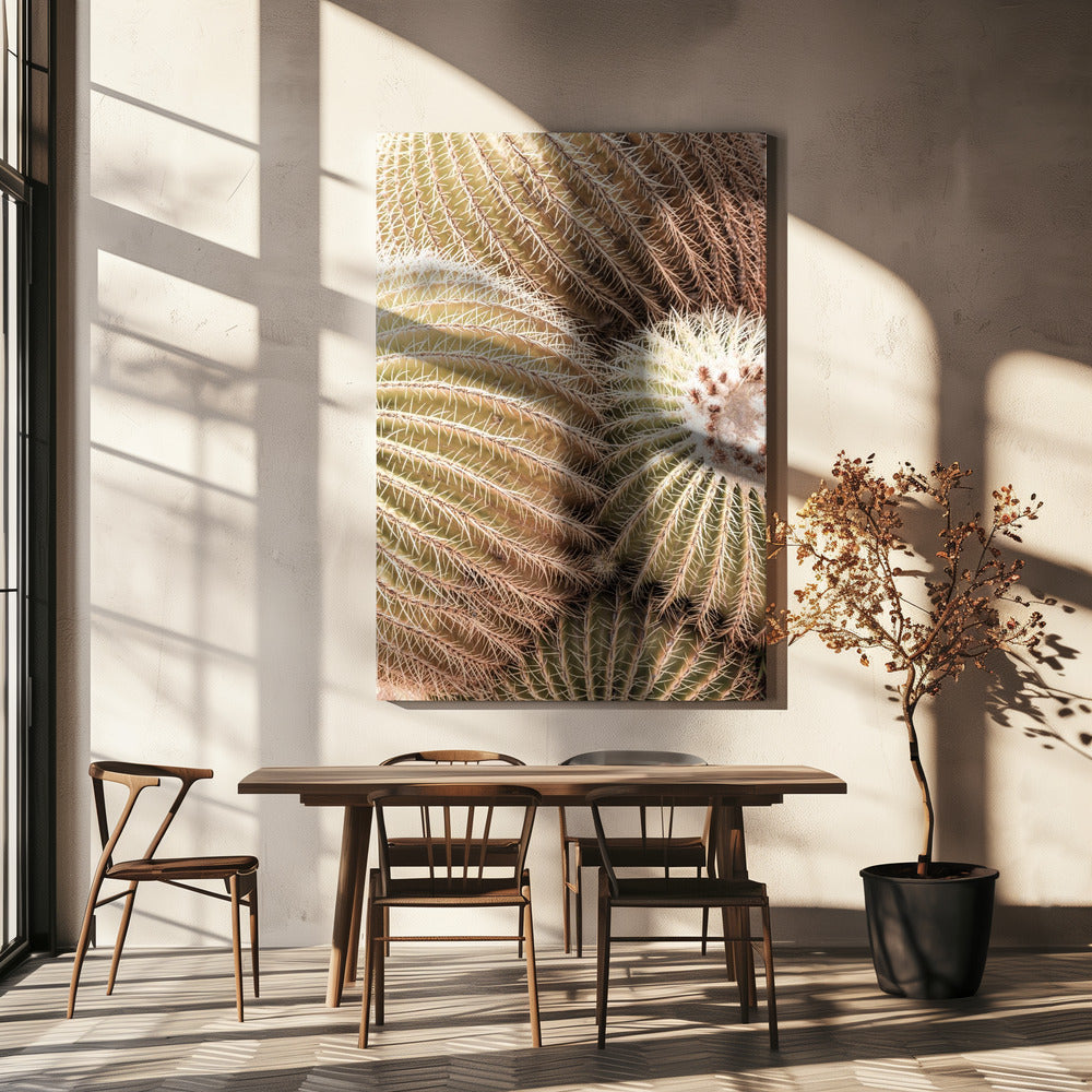 Spirale der Stacheln | Leinwand