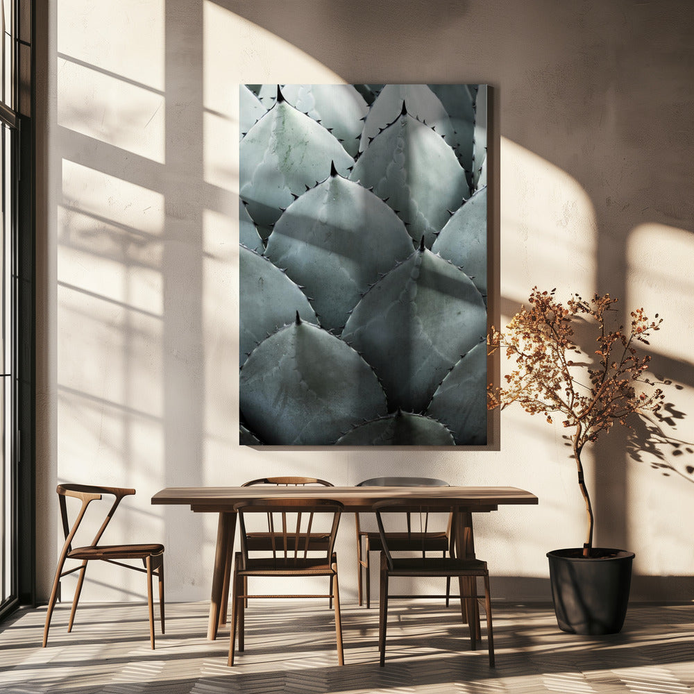 Agave Symmetry | Canvas