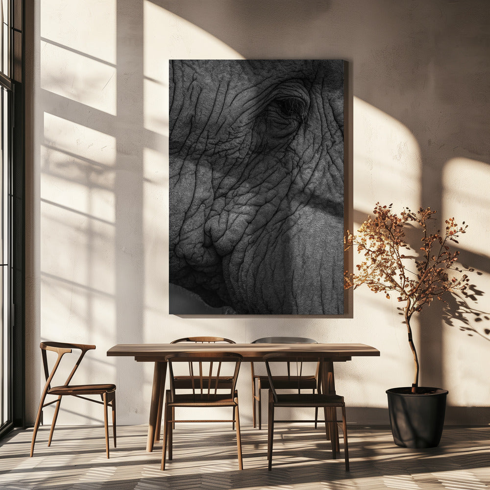 Elefantenweisheit | Leinwand