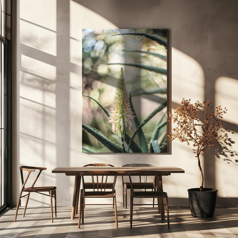 Succulent Serenity | Canvas