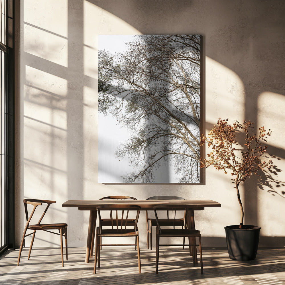 Winter's Whispering Branches | Canvas