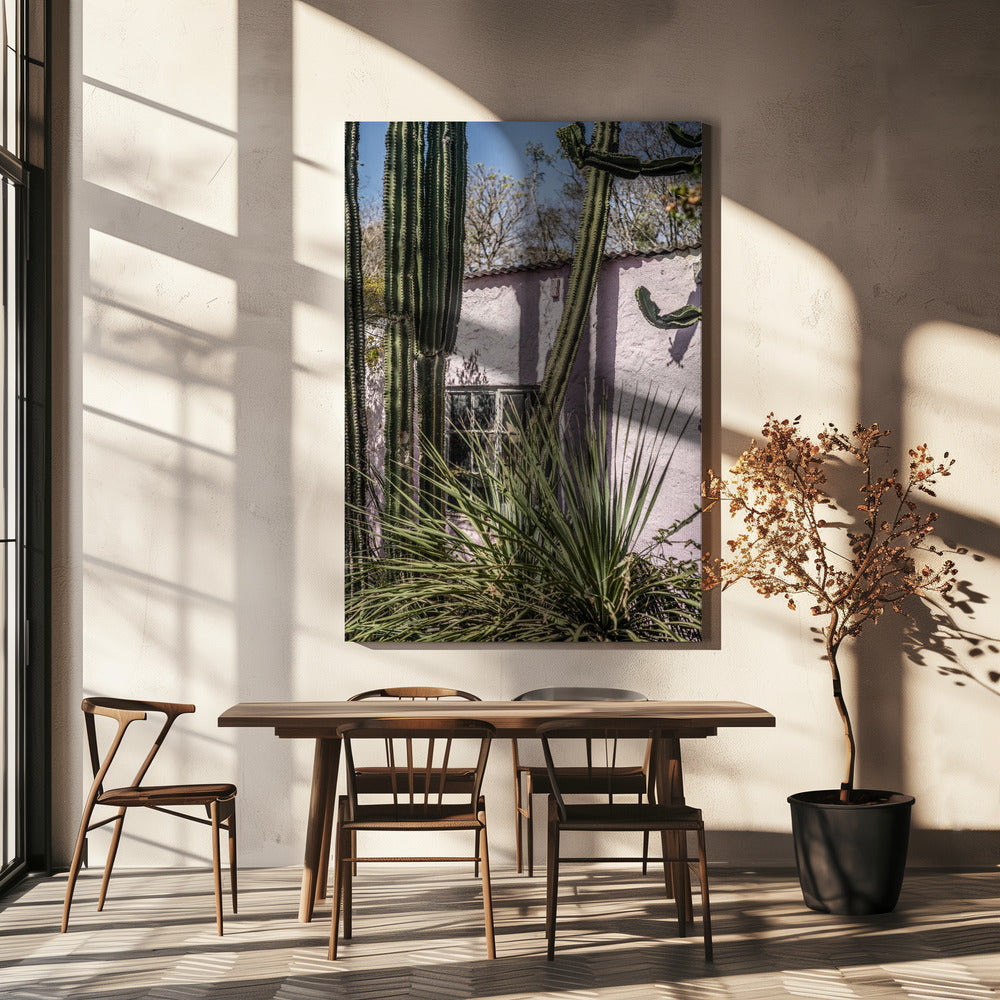 Cactus & Pink Wall | Canvas