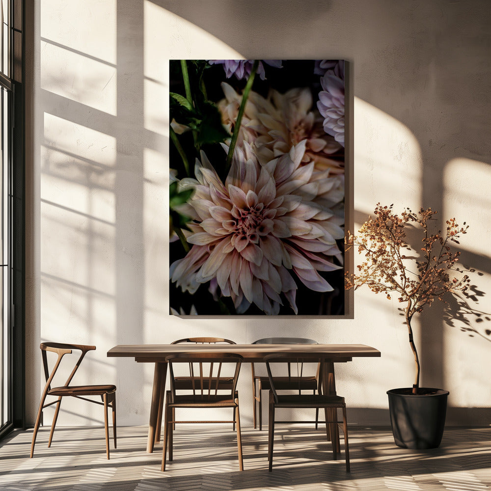 Blütenblätter in Blüte | Leinwand