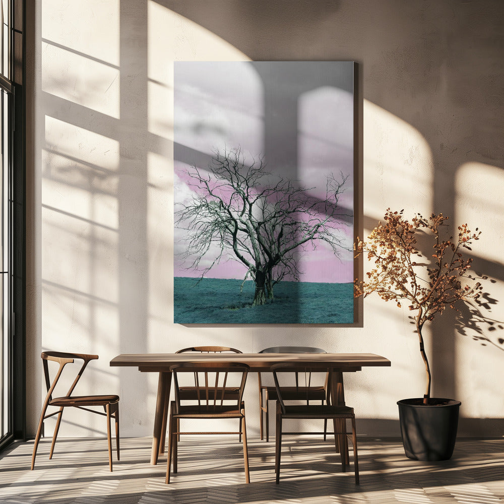 Unfruchtbarer Baum vor einem verträumten rosa Himmel | Leinwand