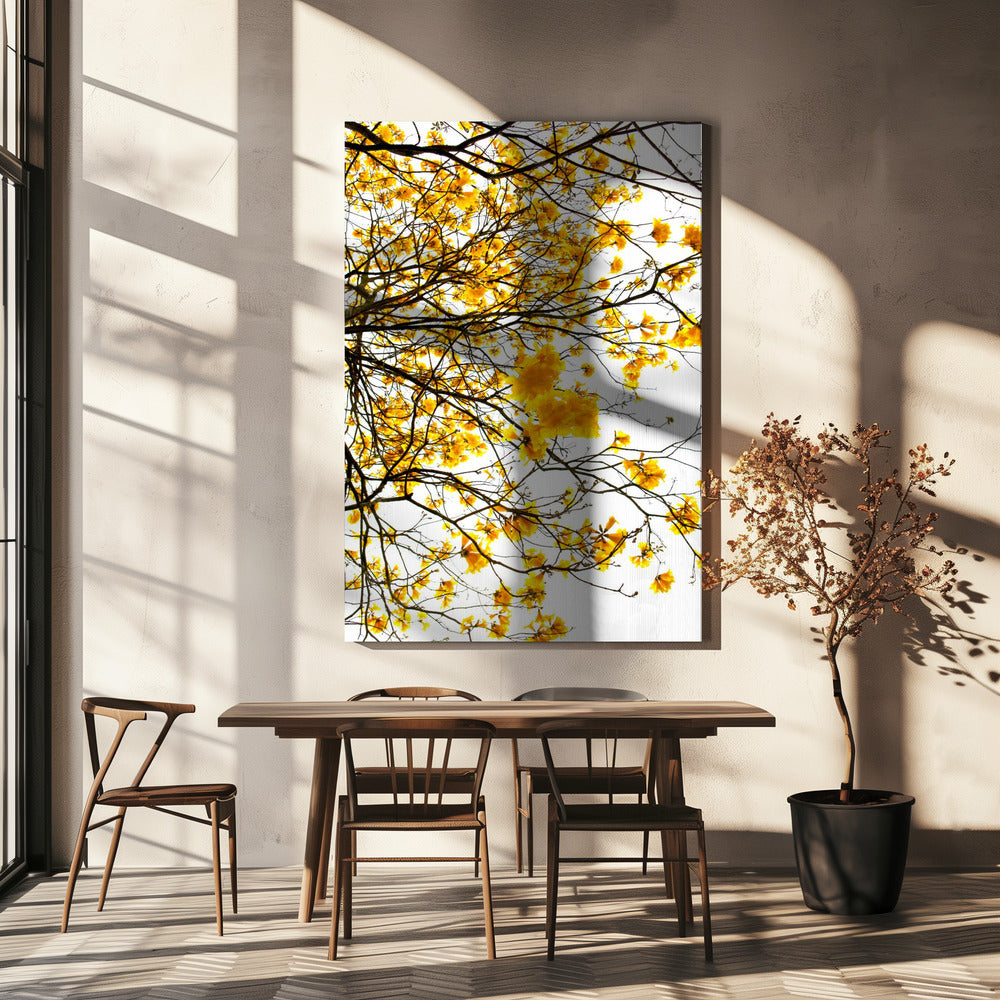 Goldener Baldachin-Ausbruch | Leinwand