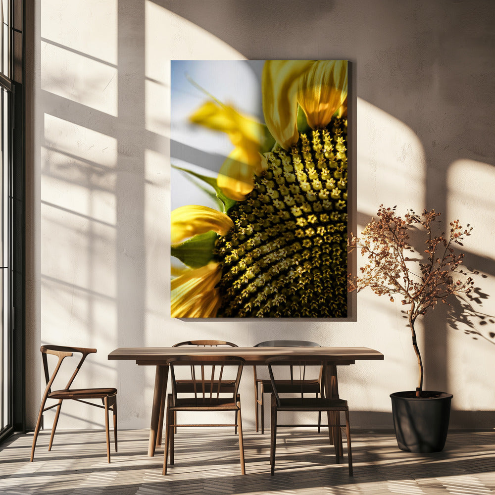 Sonnenblume Nahaufnahme | Leinwand