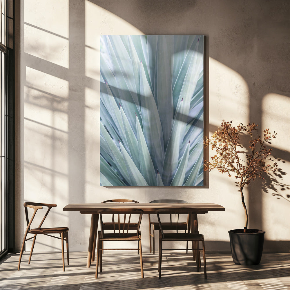 Azurblauer Agaventanz | Leinwand