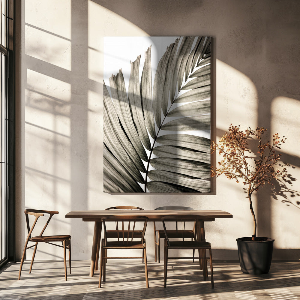 Palm Leaves 22 | Canvas