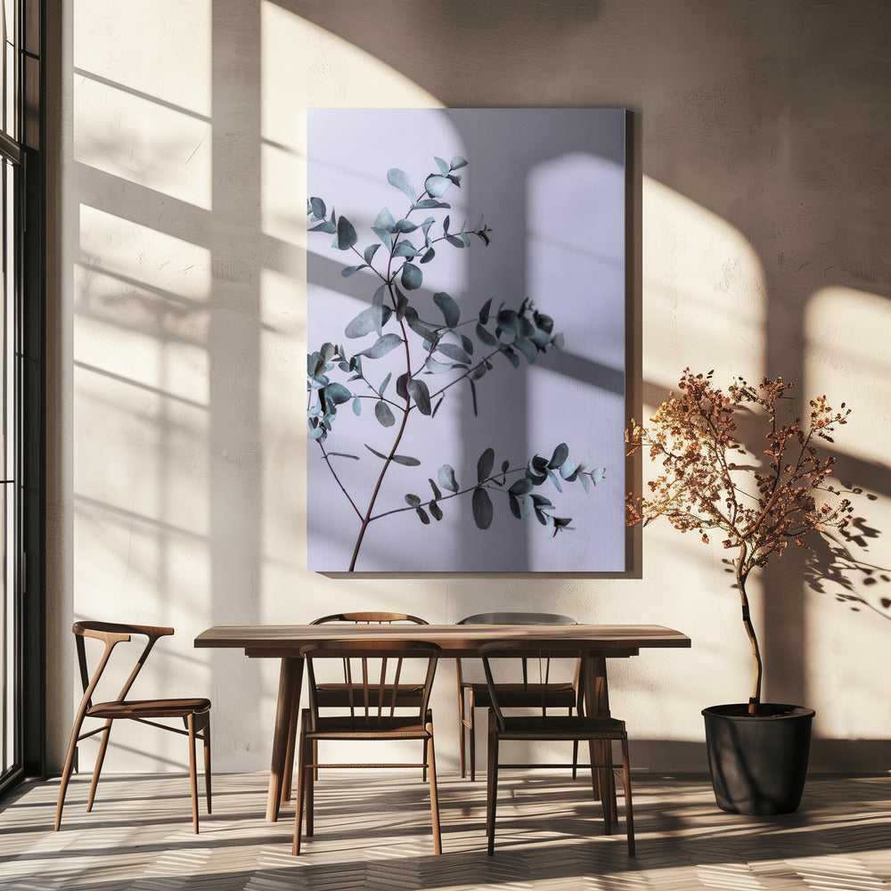 Eucalyptus 13 | Canvas