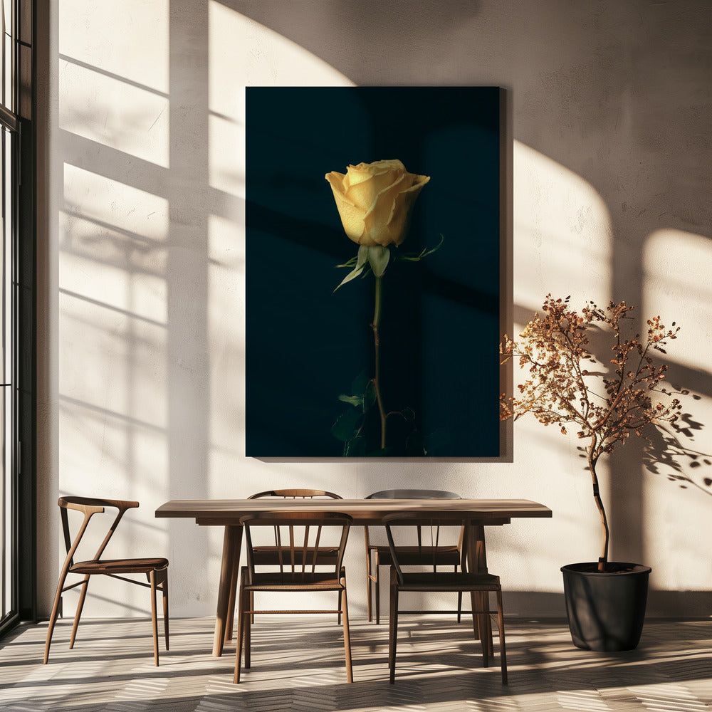 gelbe Rose | Leinwand