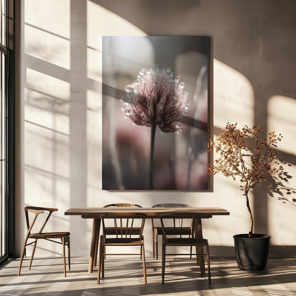 Taugeküsste Blüte | Leinwand