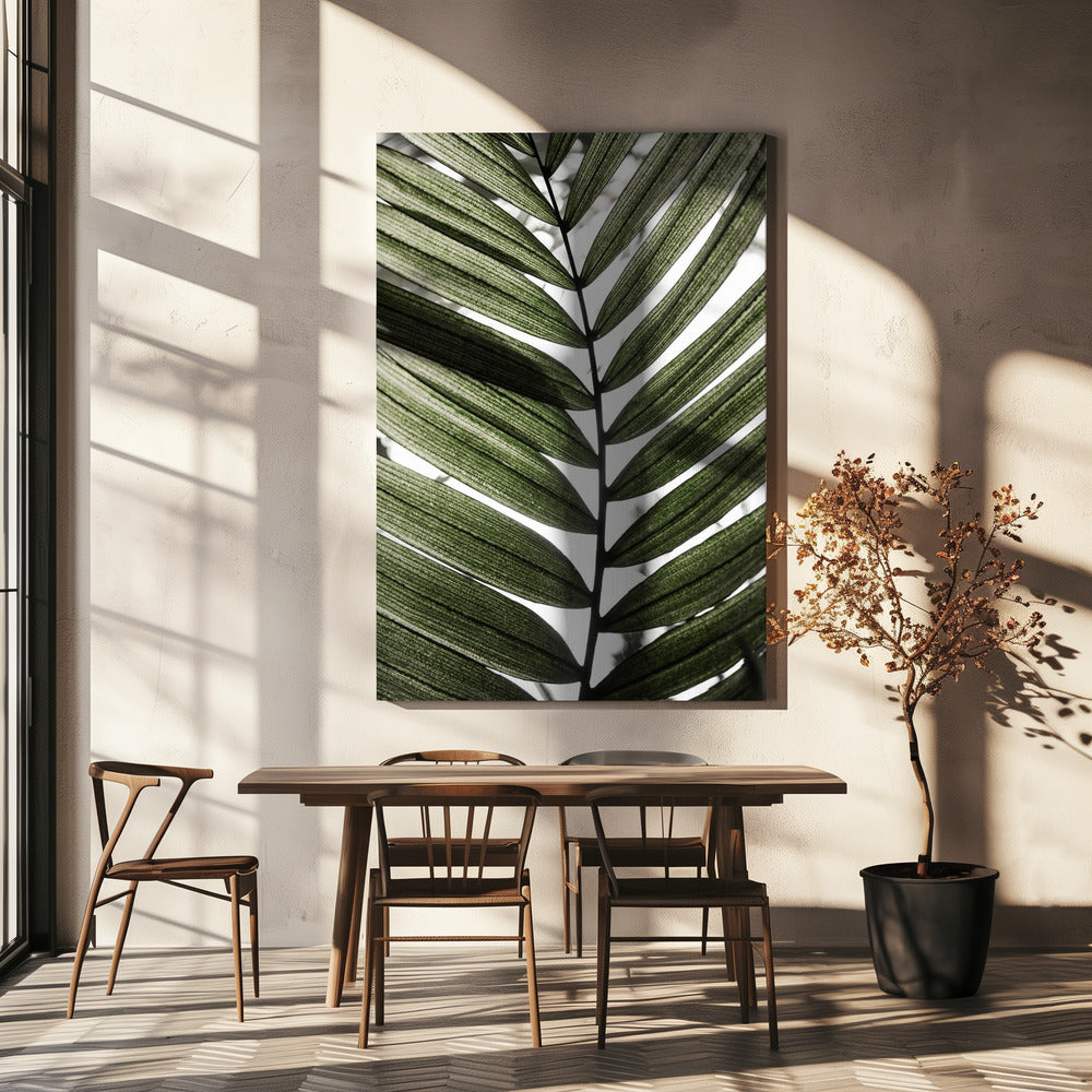 Palm Leaves 24 | Canvas