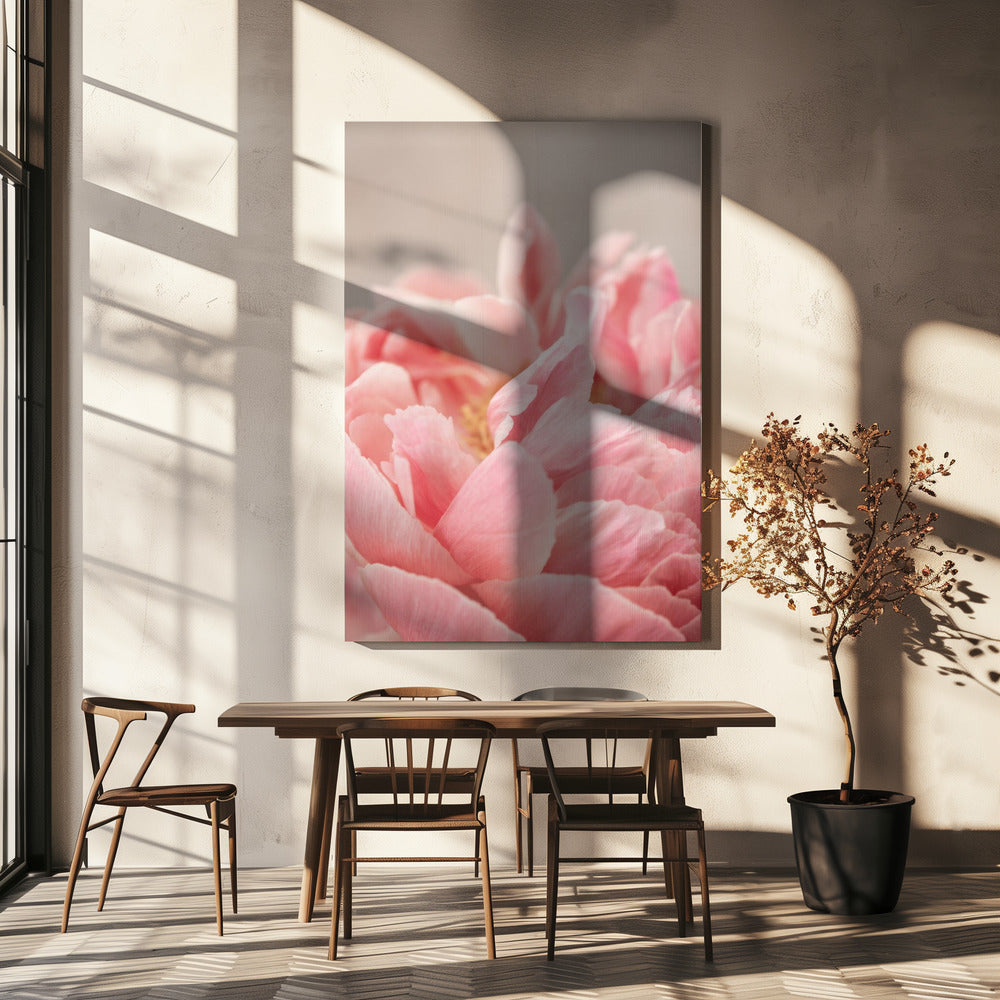 Peony 4 | Canvas