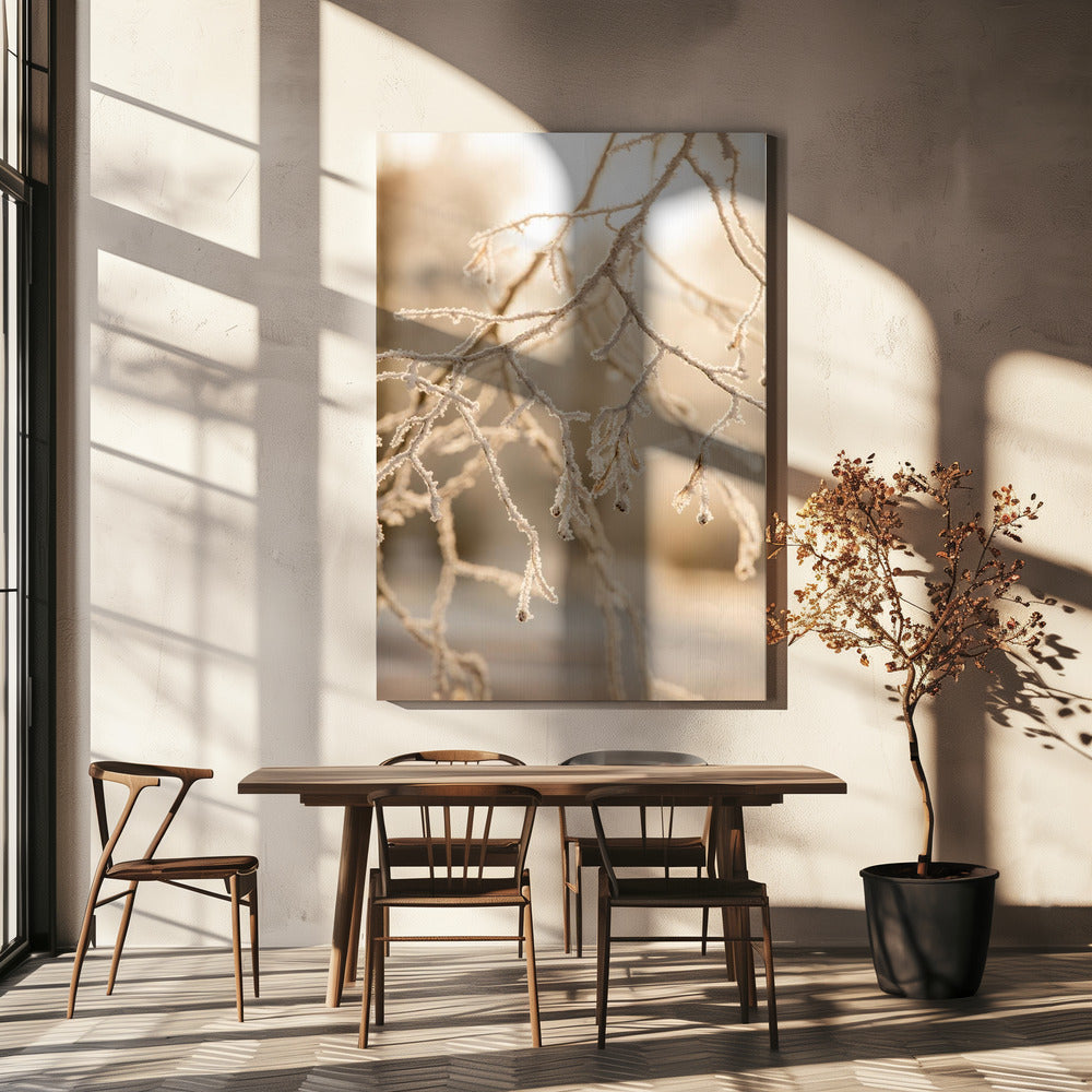 Frosty Morning 6 | Canvas