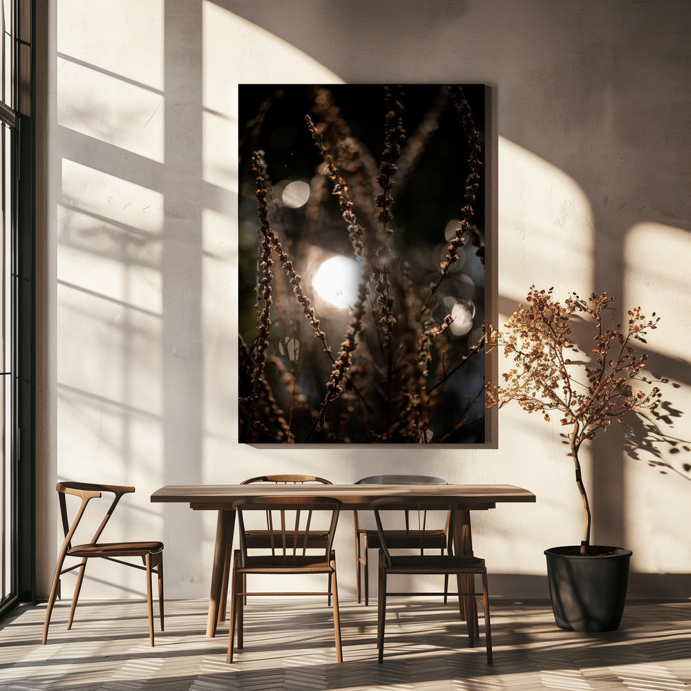 Natural Sparkle 2 | Canvas