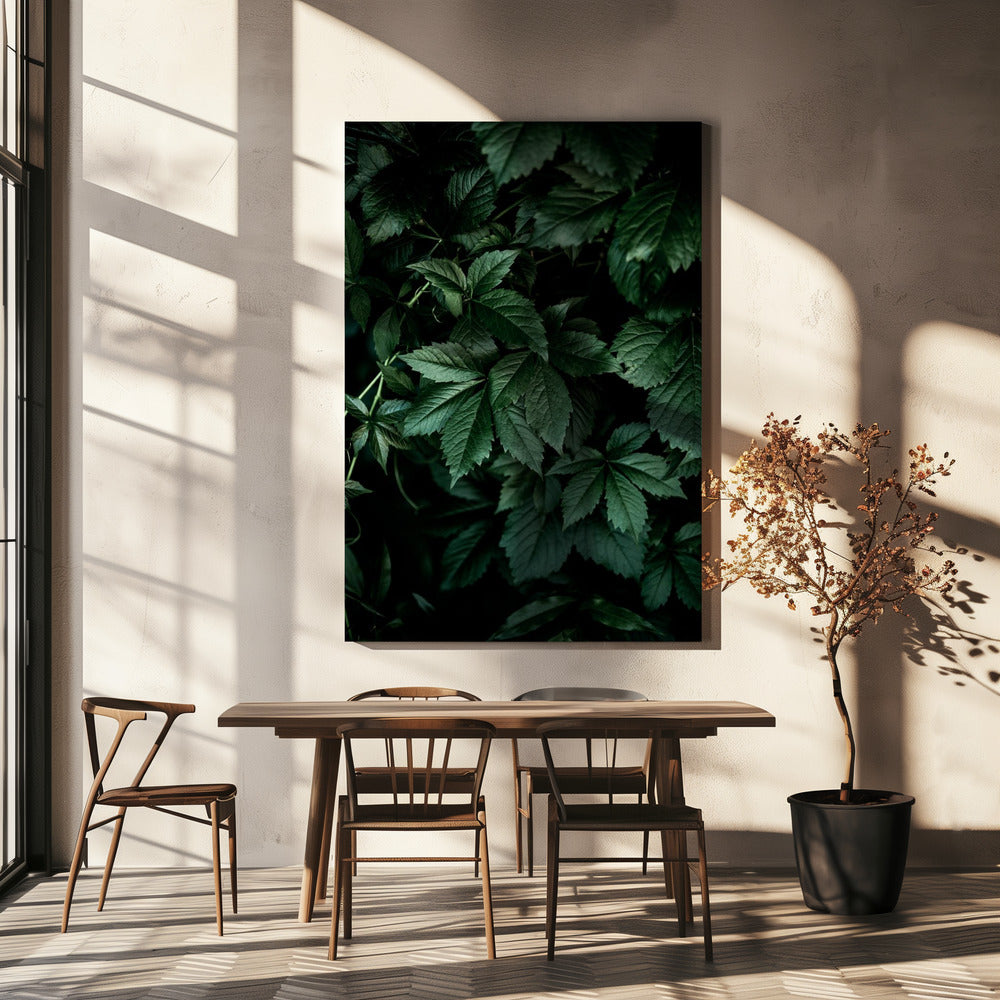 Dark Leaves 13 | Canvas