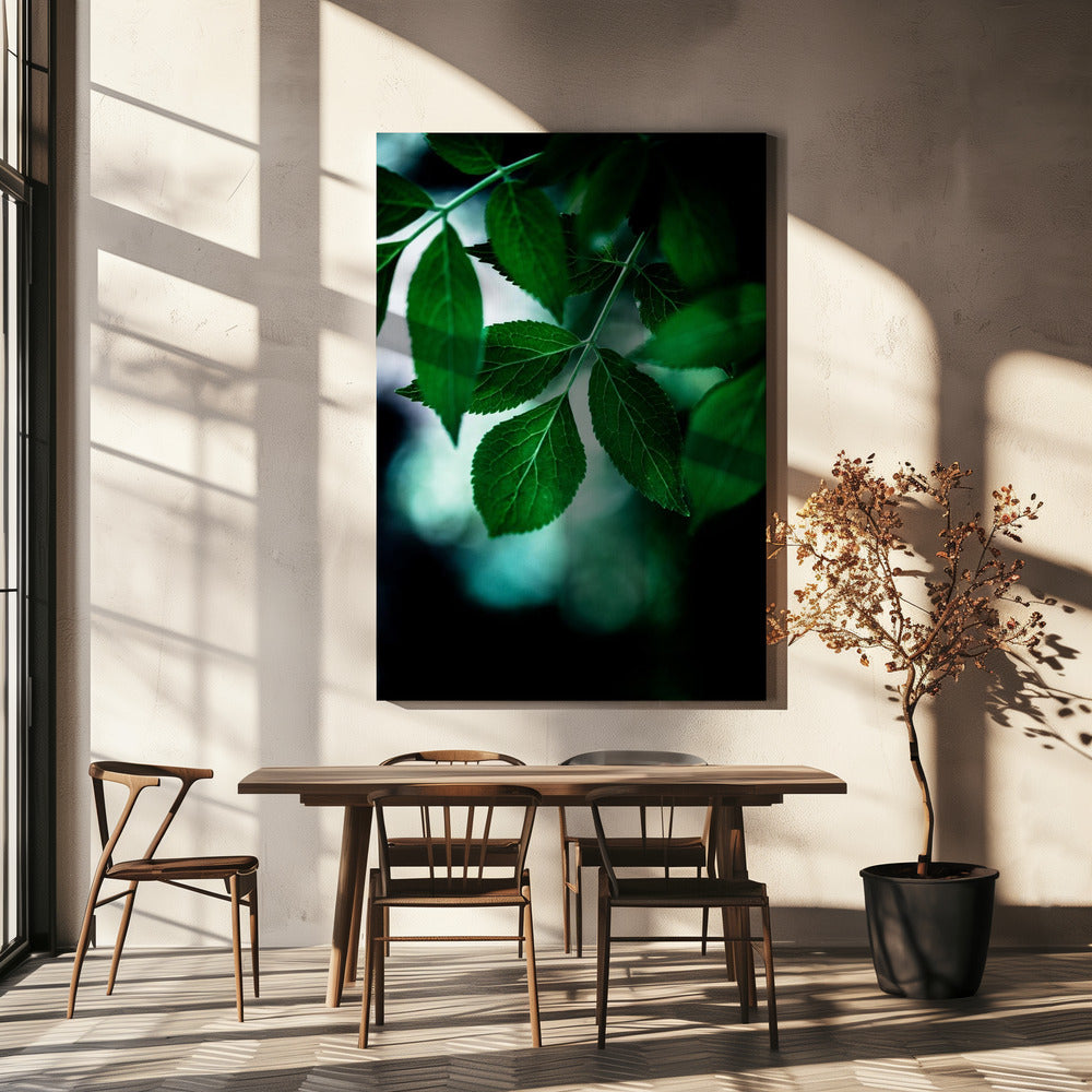 Dark Leaves 14 | Canvas